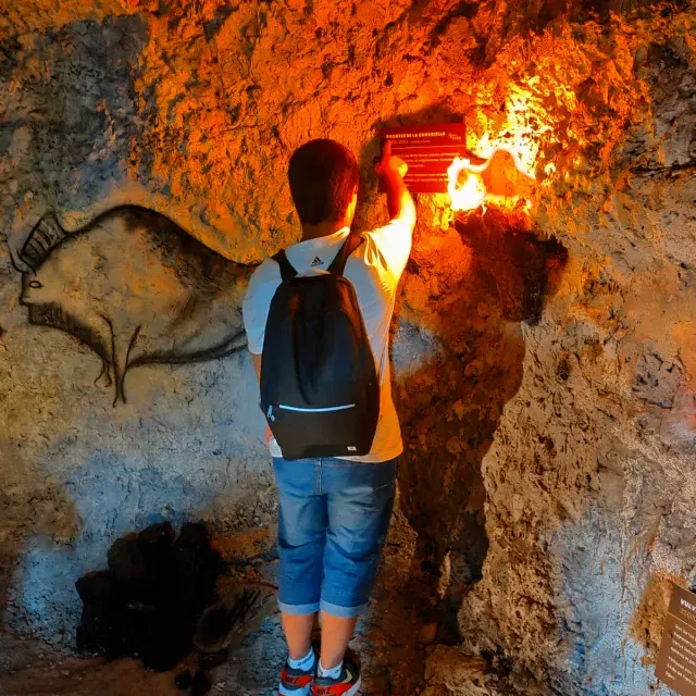 No disponemos de imagen