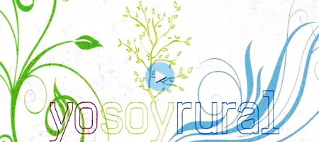 Fundación Edes en 