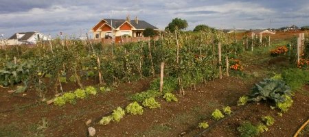 Finca El Cabillón continua con su trabajo de Sensibilización medioambiental en la Comarca