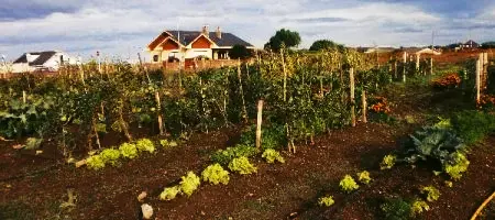 Finca El Cabillón continua con su trabajo de Sensibilización medioambiental en la Comarca