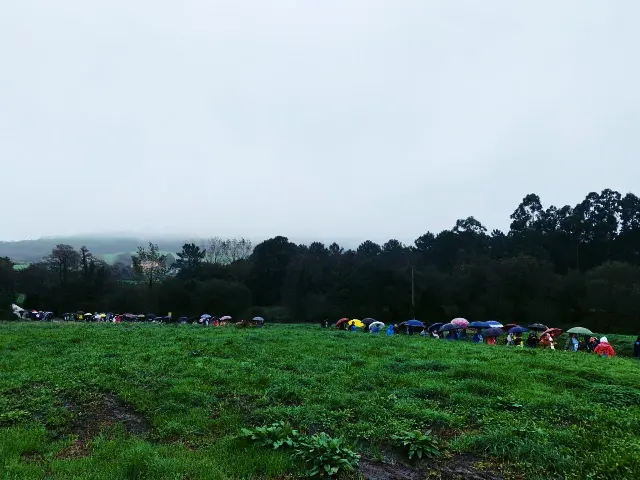 INTEGRANTES DE LA  XII MARCHA ECOSOLIDARIA DE FUNDACIÓN EDES BAJO LOS PARAGUAS EN EL RECORRIDO