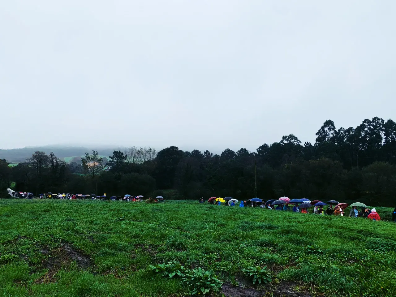 INTEGRANTES DE LA  XII MARCHA ECOSOLIDARIA DE FUNDACIÓN EDES BAJO LOS PARAGUAS EN EL RECORRIDO