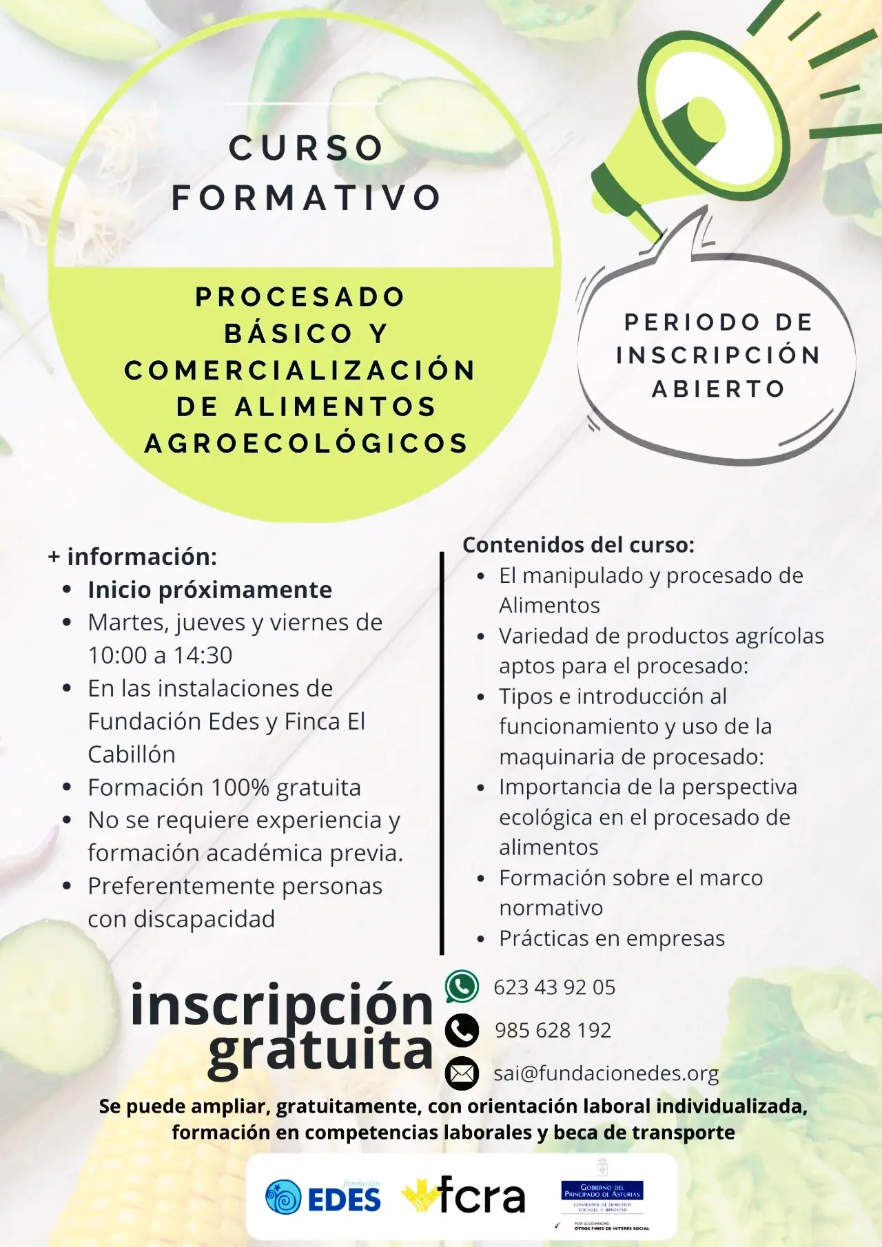 No disponemos de imagen