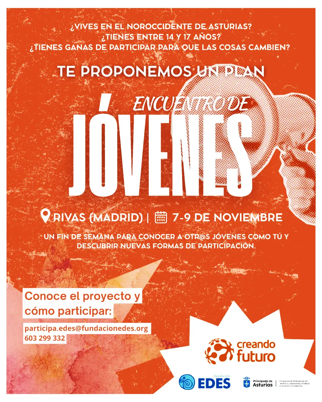 No disponemos de imagen
