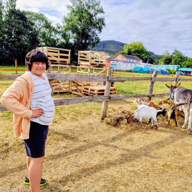 No disponemos de imagen