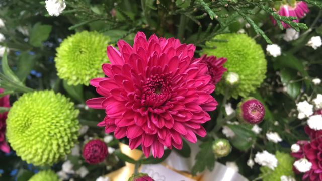 No disponemos de imagen