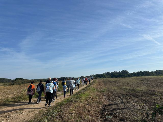 No disponemos de imagen