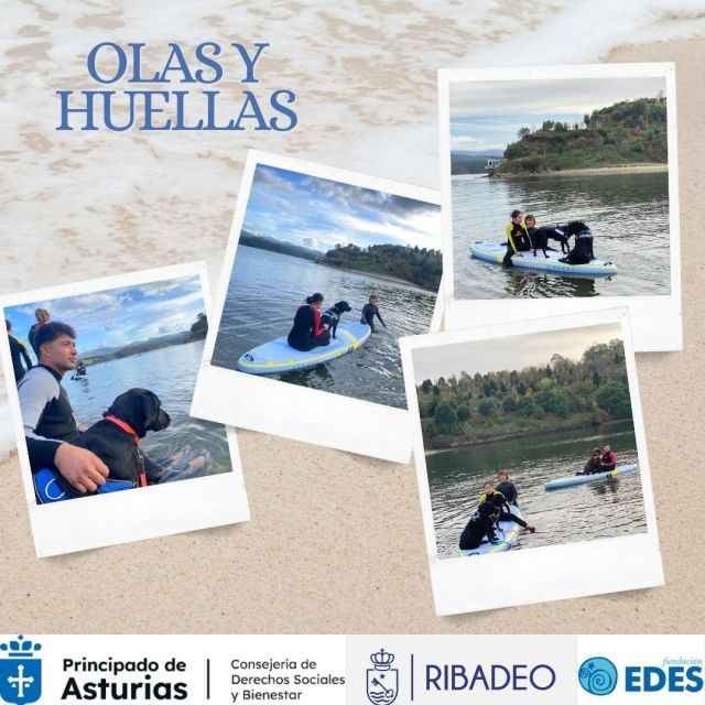 No disponemos de imagen