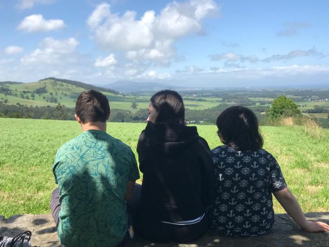 No disponemos de imagen