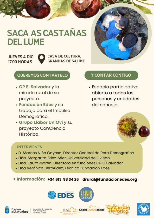 No disponemos de imagen