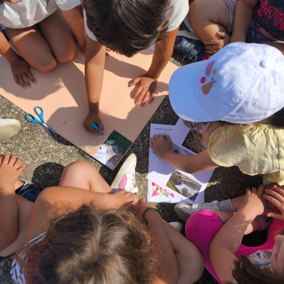 No disponemos de imagen