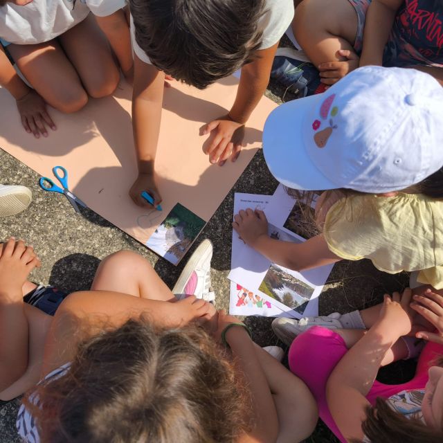 No disponemos de imagen