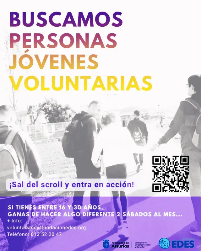 No disponemos de imagen