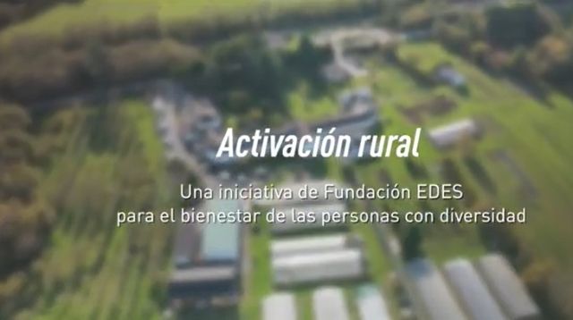 No disponemos de imagen