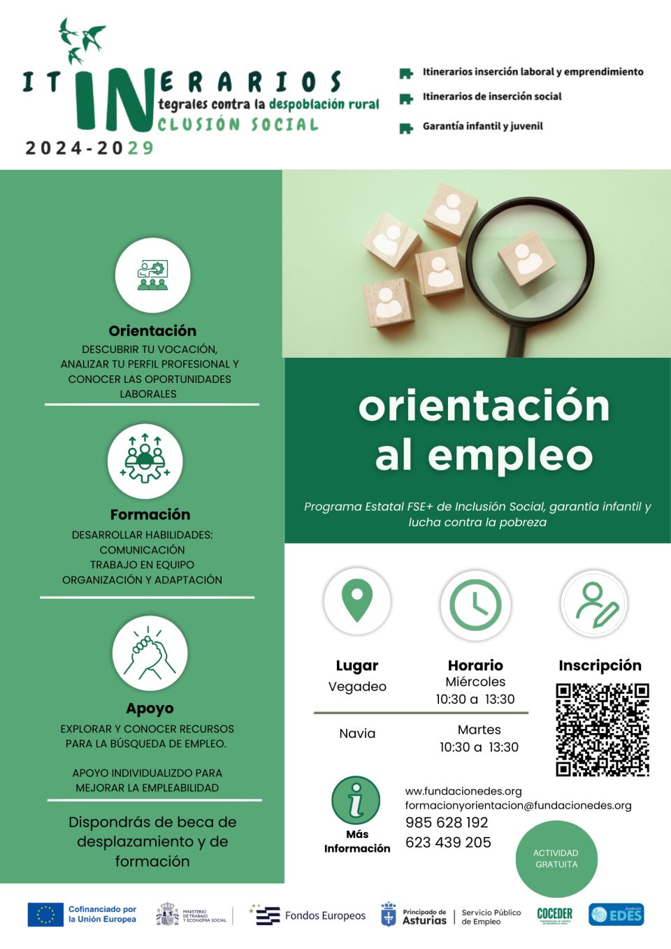 No disponemos de imagen