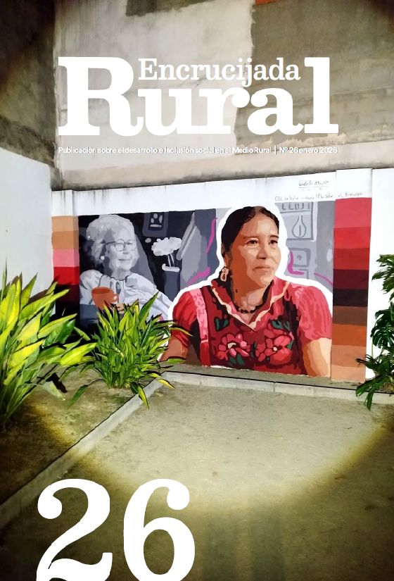 No disponemos de imagen