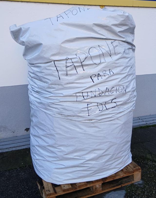 No disponemos de imagen