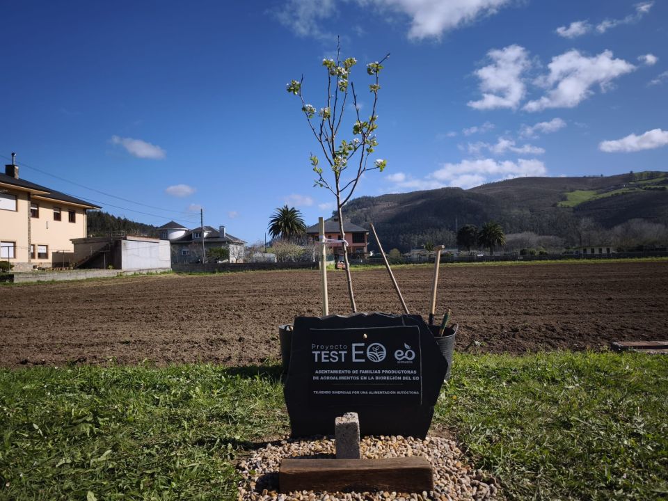 No disponemos de imagen