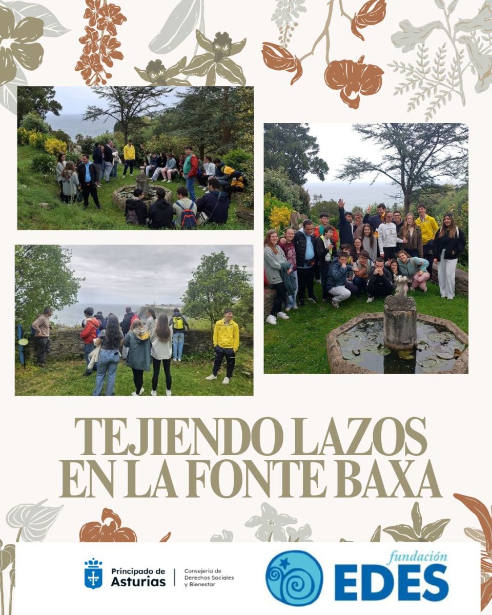 No disponemos de imagen