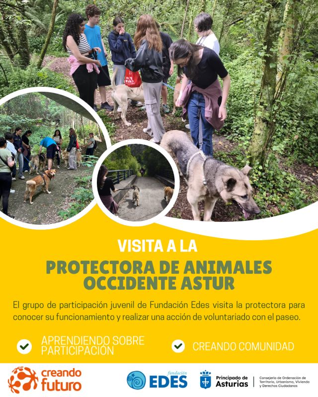 No disponemos de imagen