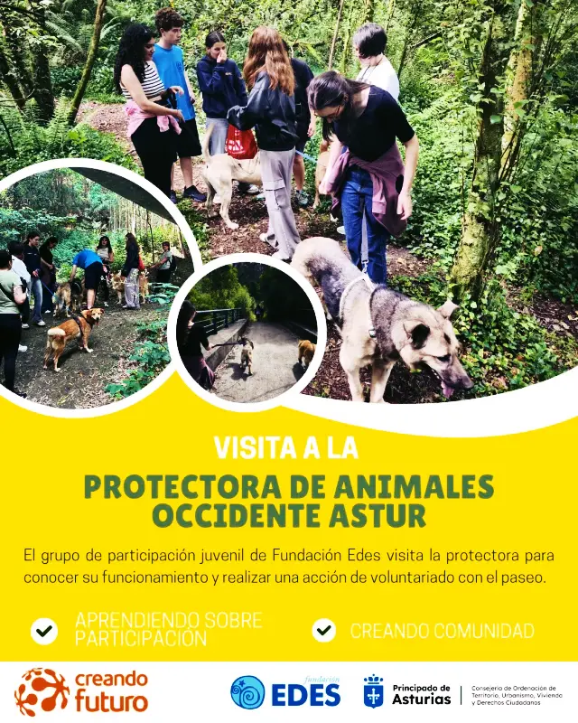 No disponemos de imagen