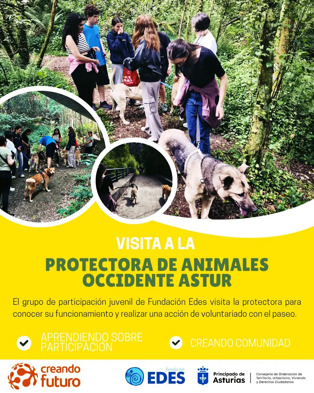 No disponemos de imagen