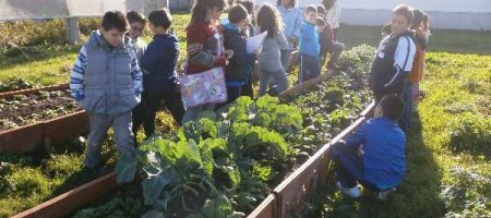 Finca El Cabillón continua su  participación en el programa de “Alimentación Saludable y de Producción Ecológica en los Comedores Escolares de Asturias”