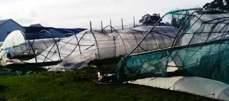 Vuelta la burra al trigo
