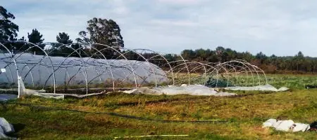 Brigadas de apoyo a Finca El Cabillón 