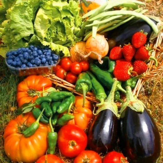 Comienza la temporada de verano en Finca El Cabillón