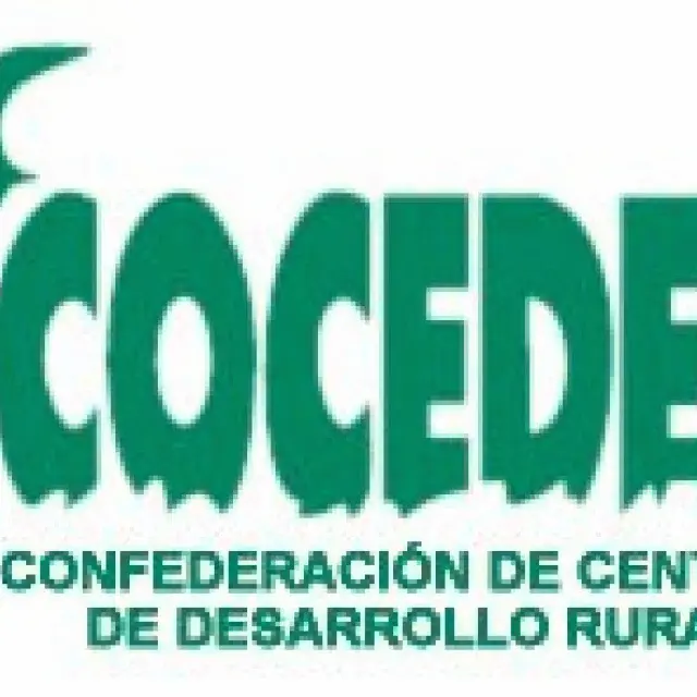 Fundación Edes en la Junta Directiva del COCEDER