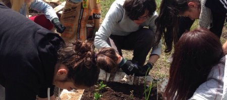 TEJIENDO REDES SALUDABLES: trabajando por el desarrollo rural