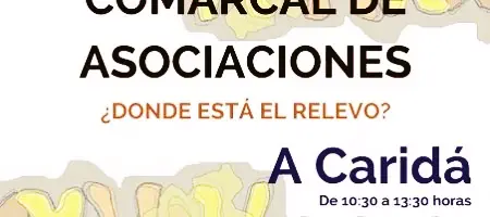 Encuentro Comarcal con Asociaciones