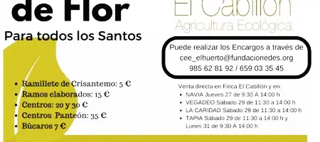 Crisantemos de Finca El Cabillón para Todos Los santos