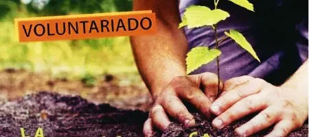 LA FUNDACIÓN EDES ACOGE UNA SESIÓN DE FORMACIÓN SOBRE LA LEY 45/2015 DE VOLUNTARIADO