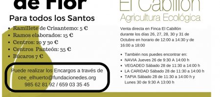 Se acerca la festividad de todos los Santos y Finca El Cabillón inicia la recogida de encargos de crisantemos