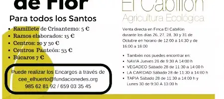 Se acerca la festividad de todos los Santos y Finca El Cabillón inicia la recogida de encargos de crisantemos