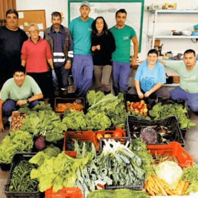 El empleo y la formación como puente hacia la inclusión social