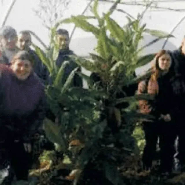 Viaje de Finca El Cabillón