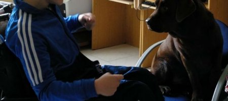 Terapia Asistida con Perros