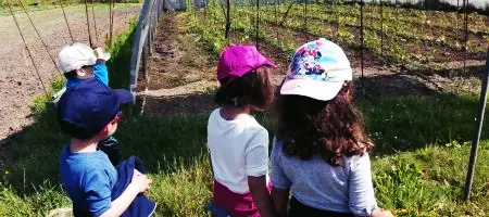 Visita del C.P. Jesús A. Valdés a Finca El Cabillón