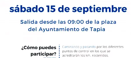 VI Marcha Solidaria de Fundación Edes