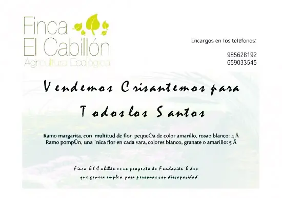 FINCA EL CABILLÓN prepara RAMOS DE FLORES