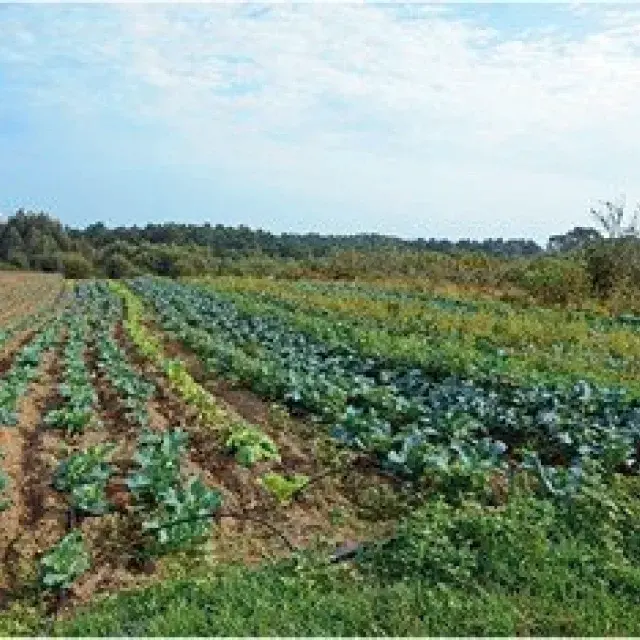 Nueva temporada en Finca El Cabillón