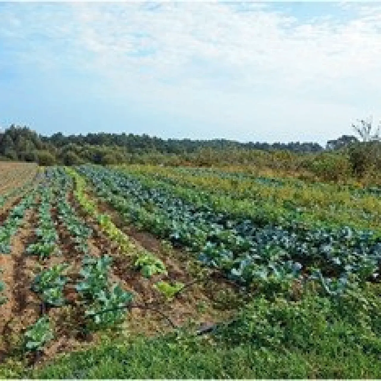 Nueva temporada en Finca El Cabillón