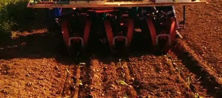 ¡Estamos de estrena!