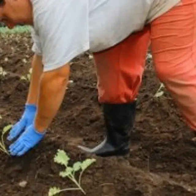 Plan de trabajo 2019 lleno de actividades, iniciativas e ilusión en Finca El Cabillón