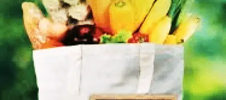 Feria Ecológica en Vegadeo