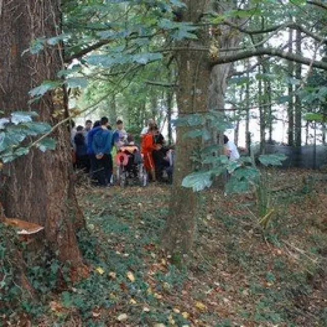 Pedagogía Verde en Edes