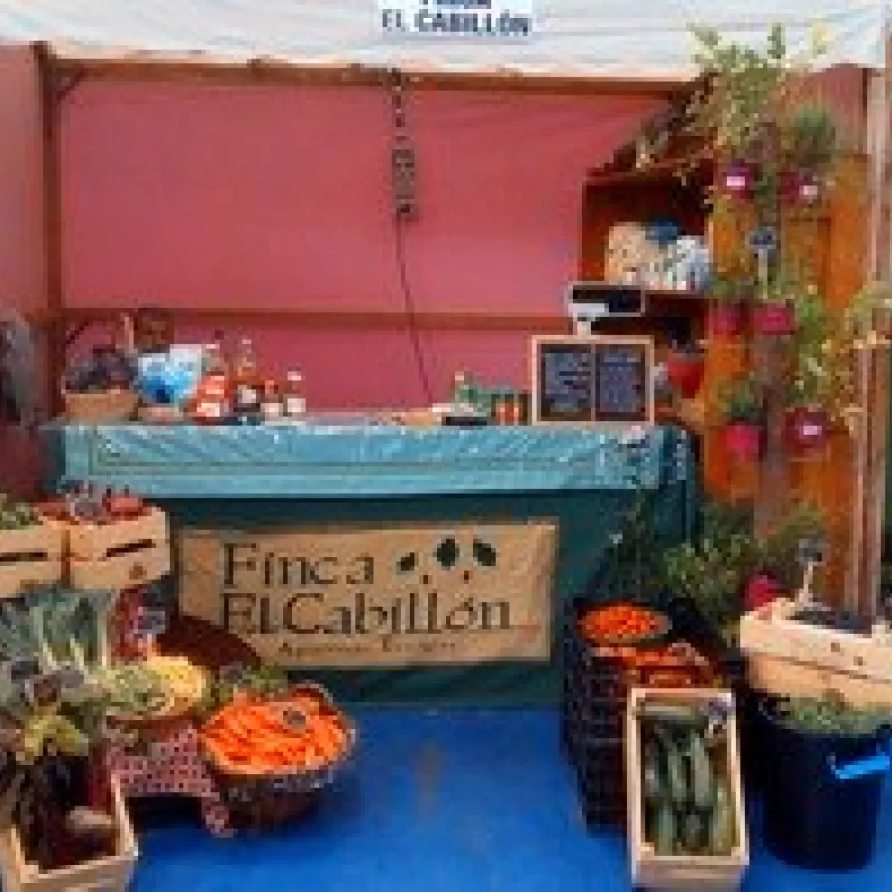 El paso del verano deja muchos frutos en Finca El Cabillón